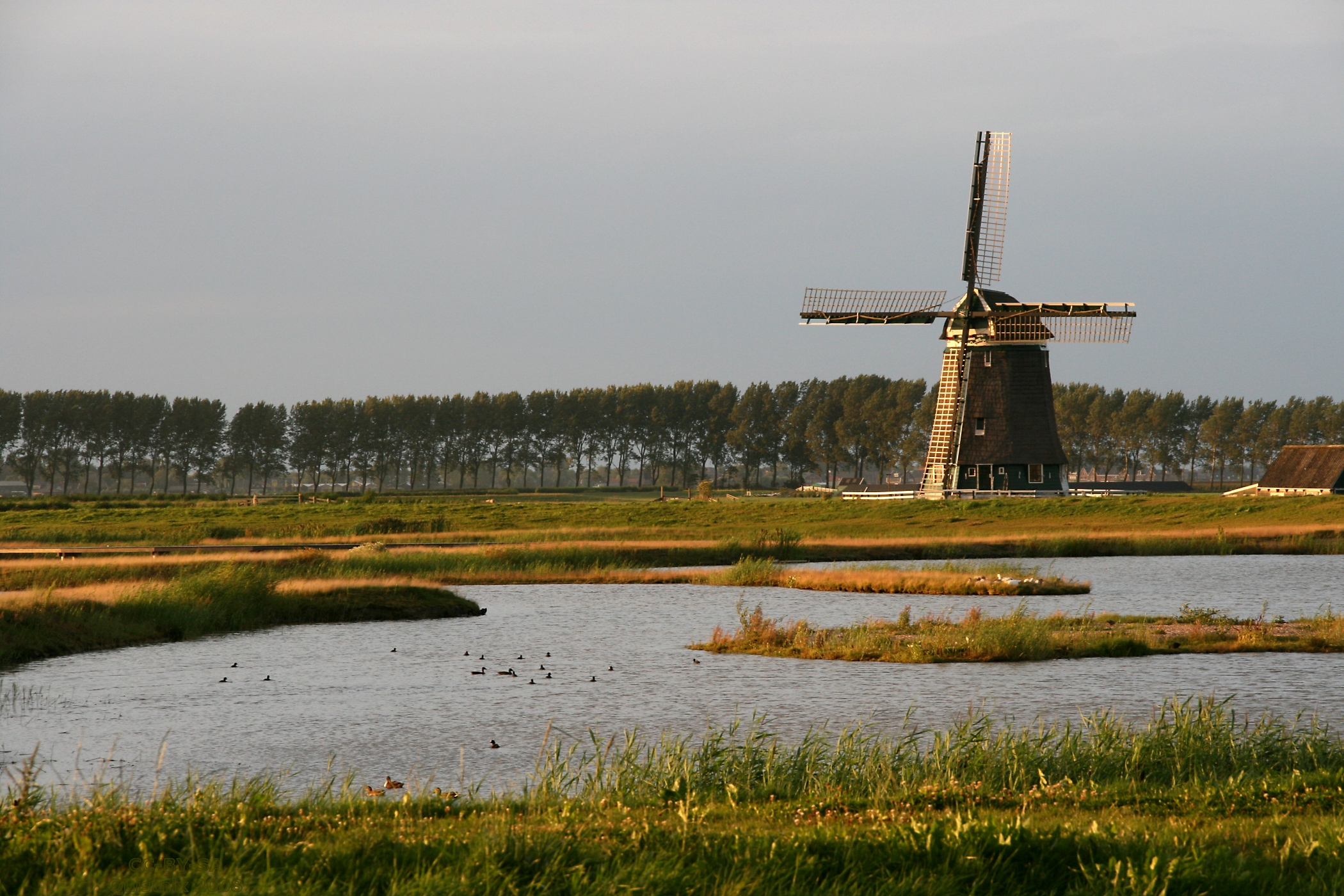 Wogmeer